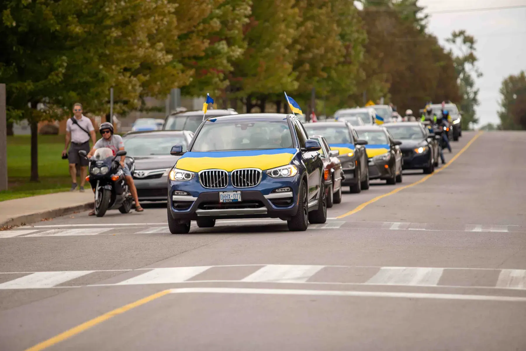 Unity Ride cars with blue-and-yellow hoods on the road to the park