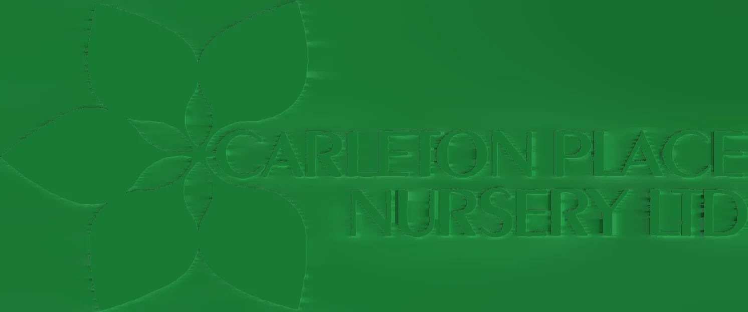 Carleton Place Nursery Ltd logo — a green five-petal leaf rosette beside the company name.
