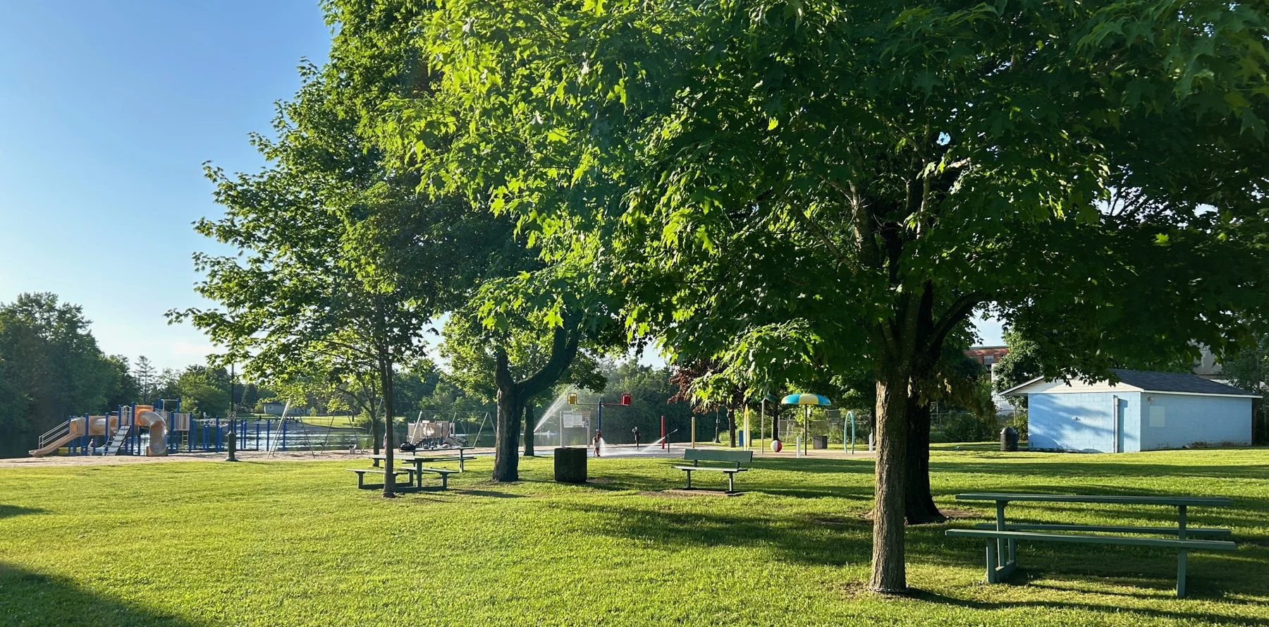 Riverside Park on a summer morning — mown grass under mature trees, picnic tables and benches, with the playground and splash pad beyond