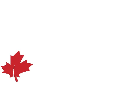 DM Auto logo in white lettering with a red maple leaf, on a transparent background — the file used as the logo at the top of the home and About pages