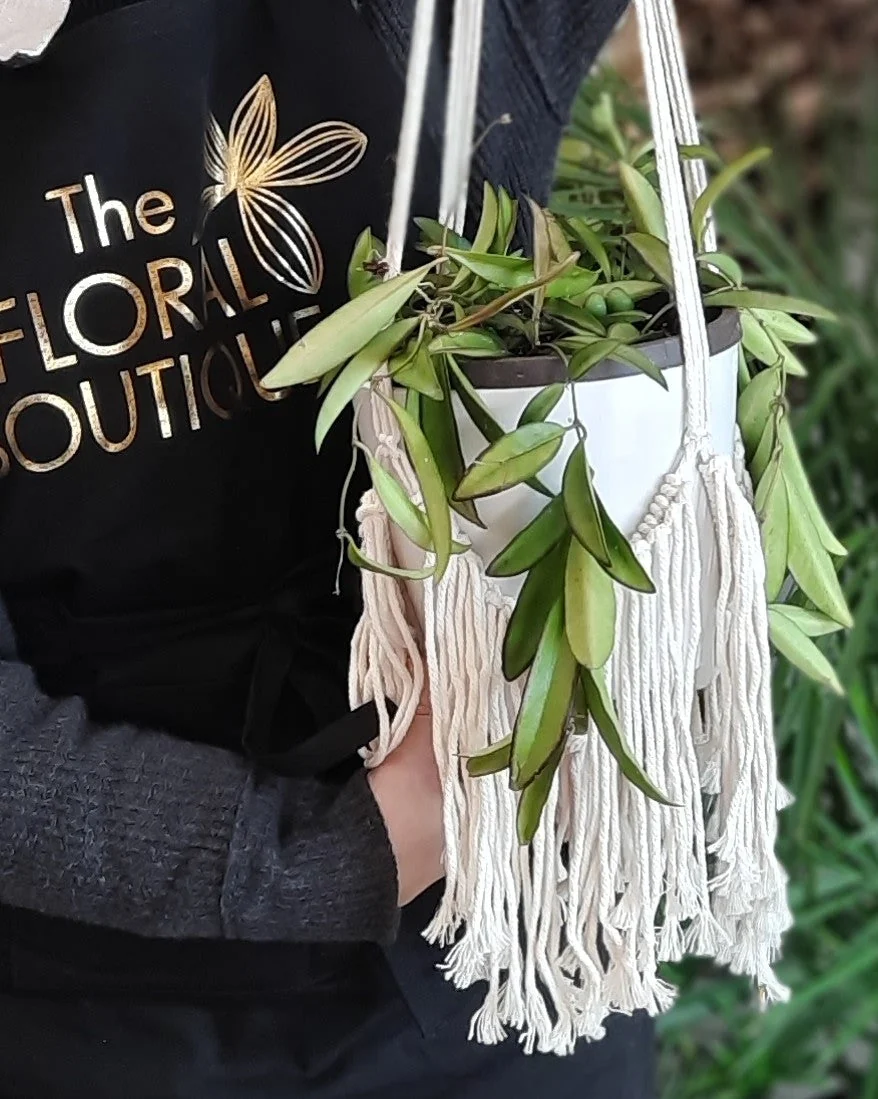 A trailing hoya in a white pot inside a knotted macramé hanger, held by someone wearing a black apron with the gold Floral Boutique logo.